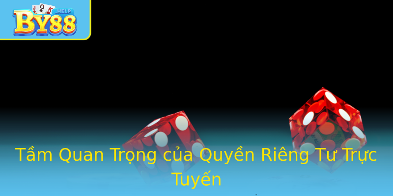 Tầm Quan Trọng của Quyền Riêng Tư Trực Tuyến